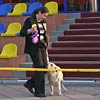 Найт - лучший юниор выставки НКП...
